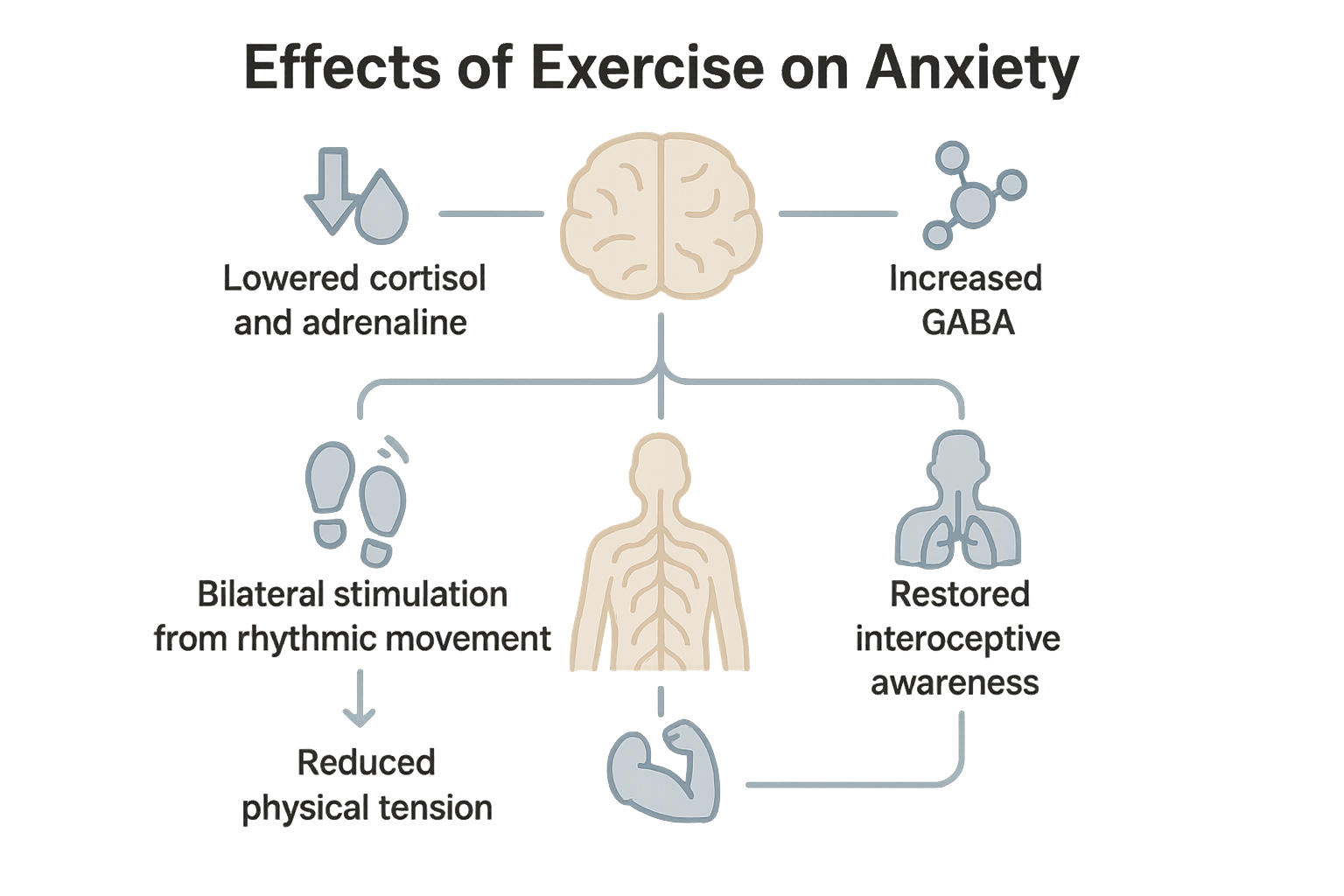 Diagram of biological mechanisms by which exercise reduces anxiety
